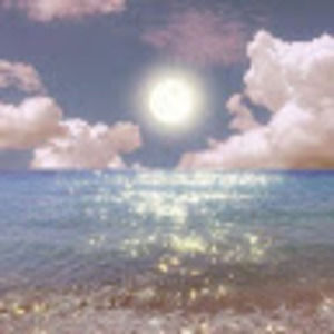 Meet your Posher, Saylor